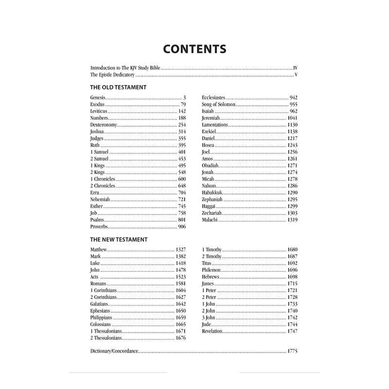 The KJV Study Bible - Large Print - Indexed [Teal Inlay] (King James Bible) Imitation Leather – Large Print - Fly It Try It