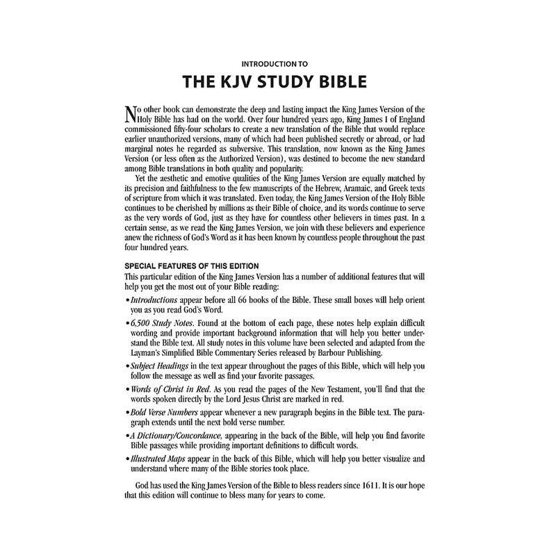 The KJV Study Bible - Large Print - Indexed [Teal Inlay] (King James Bible) Imitation Leather – Large Print - Fly It Try It