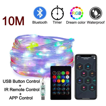 Dreamcolor Rgb Led Strip WS2812B Bluetooth Smart String Fairy Lights Christmas Garland Light Waterproof for Party Curtain Room - Fly It Try It