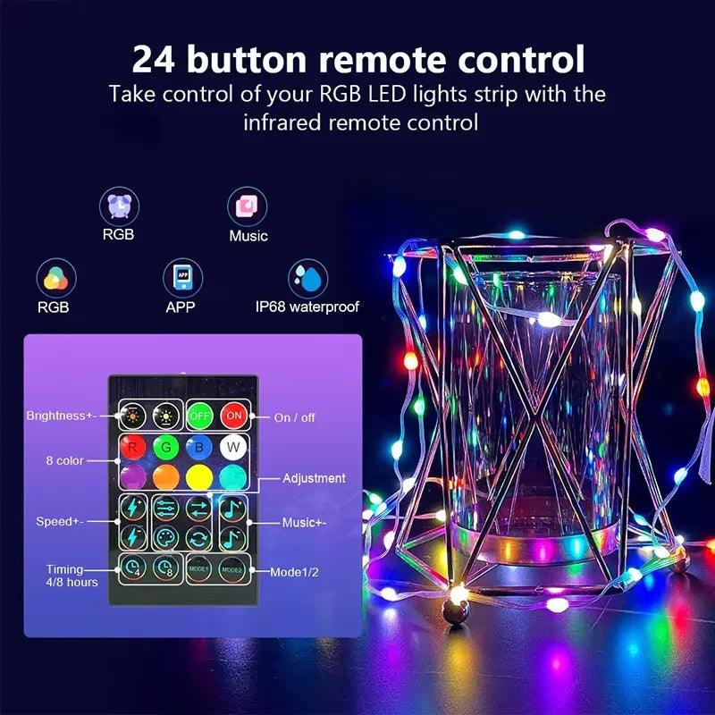 Dreamcolor Rgb Led Strip WS2812B Bluetooth Smart String Fairy Lights Christmas Garland Light Waterproof for Party Curtain Room - Fly It Try It