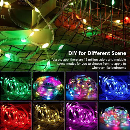 Dreamcolor Rgb Led Strip WS2812B Bluetooth Smart String Fairy Lights Christmas Garland Light Waterproof for Party Curtain Room - Fly It Try It